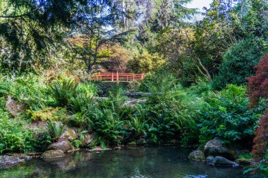 A red walking bridge in a garden in Seattle, Washington.