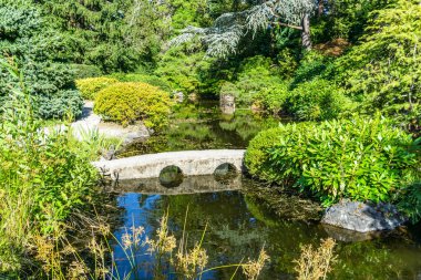Trees and sky are reflected in a pond in a garden in Seattle, Washington.