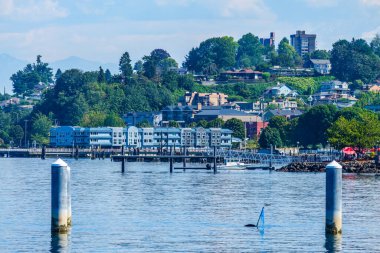 Buildings and piers in Ruston, Washington.
