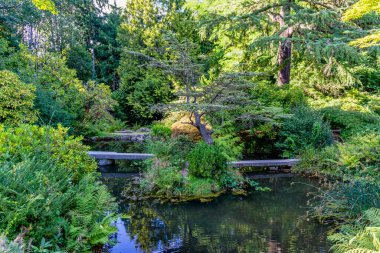 A pond at gardens in Seattle, Washington. Trees and bushes.