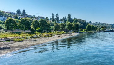 Scenic shoreline in Ruston, Washington with water and trees.