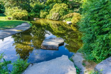 Trees and sky are reflected in a pond in a garden in Seattle, Washington.