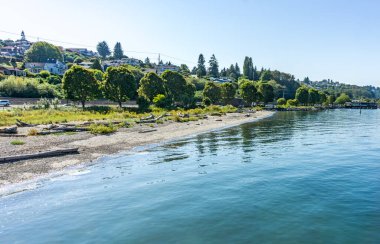 Scenic shoreline in Ruston, Washington with water and trees.