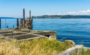 A view of Dickman Mill Park in Ruston, Washington