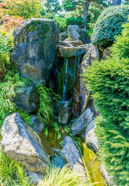 Pequena Cachoeira Jardim Seatac Washington — Fotografia de Stock