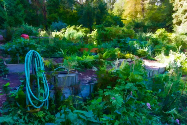 Large Vibrant Community Garden Pea Patch Seattle Washington — Stock Photo, Image