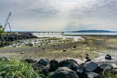 Washington 'daki Des Moines marinasındaki vinç inşaatın devam ettiğini gösteriyor..