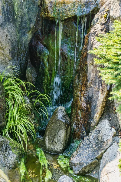 Kleine Waterval Bij Een Tuin Seatac Washington — Stockfoto