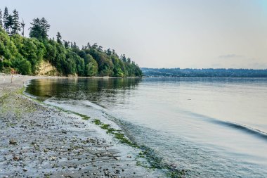 Des Moines, Washington 'daki sahil şeridine yakın Puget Sound' da pürüzsüz su.