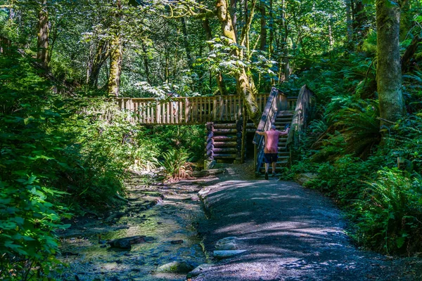 Log Walking Bridge Dash Point State Park Washington State — Zdjęcie stockowe