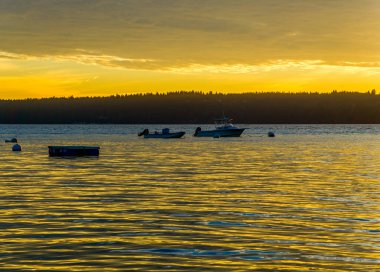 Puget Sound 'da güneş batarken tekne..