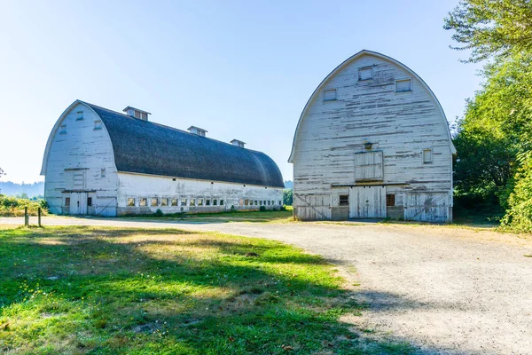 Een Grote Schuur Nisqually Wetlands Washington State — Stockfoto