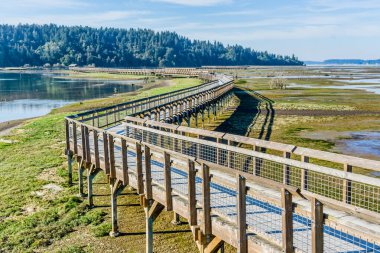 Washington eyaletindeki Nisqually Bataklıkları 'nın üstündeki kaldırım..