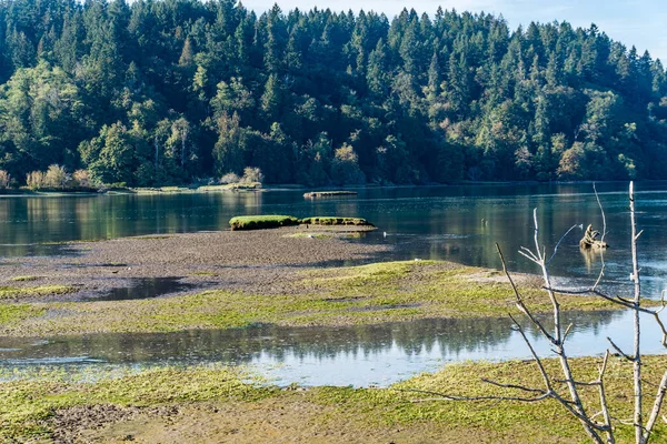 Kalme Wateren Bij Nisqually Wetlands Staat Washington — Stockfoto