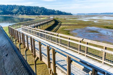 Washington eyaletindeki Nisqually Bataklıkları 'nın üstündeki kaldırım..