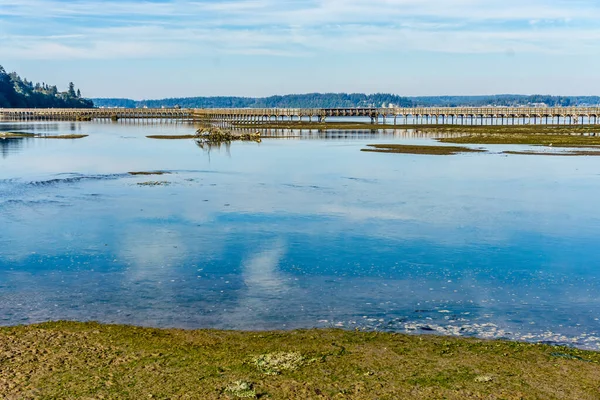 Lugnt Vatten Vid Nisqually Wetlands Delstaten Washington — Stockfoto