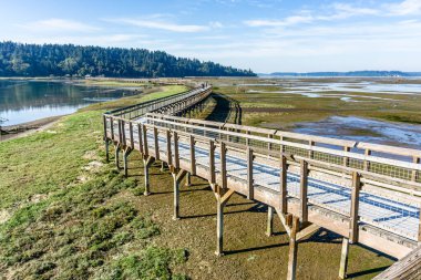 Washington eyaletindeki Nisqually Bataklıkları 'nın üstündeki kaldırım..