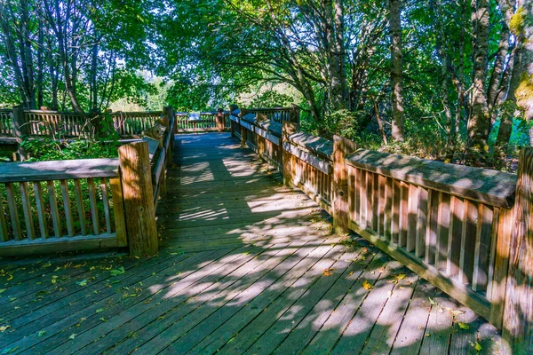Boardwalk Walkway Nisqually Wetlands Washington State — Stock Photo, Image