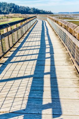 Washington eyaletindeki Nisqually Bataklıkları 'nın üstündeki kaldırım..