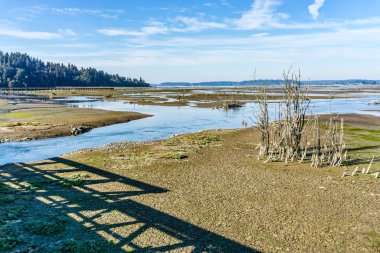 Washington 'daki Nisqually Bataklıkları manzarası. Peyzaj fotoğrafı.