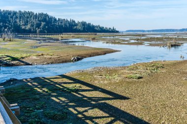 Washington 'daki Nisqually Bataklıkları manzarası. Peyzaj fotoğrafı.