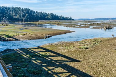 Washington 'daki Nisqually Bataklıkları manzarası. Peyzaj fotoğrafı.