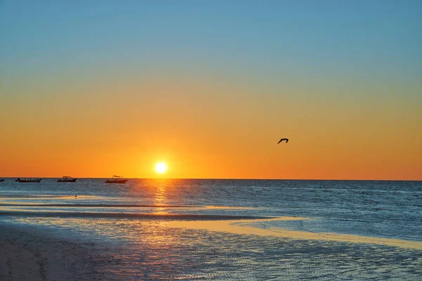 리비에라 해변에 갈매기가 날으는 아름다운 오렌지 청록색 — 스톡 사진