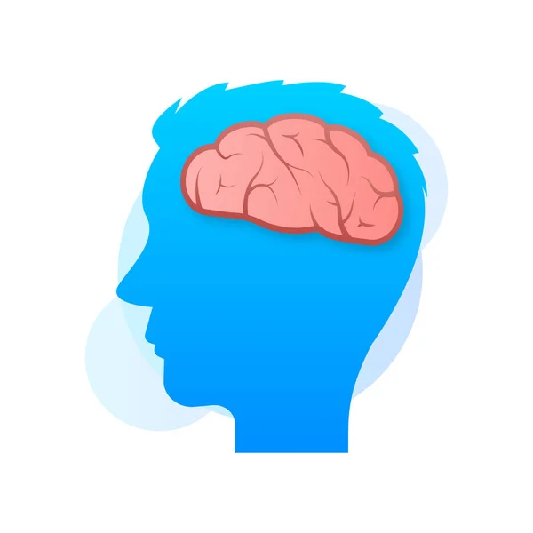 Человеческий Мозг Медицинский Внутренний Орган Нейронная Сеть Идея Мозгового Штурма — стоковый вектор