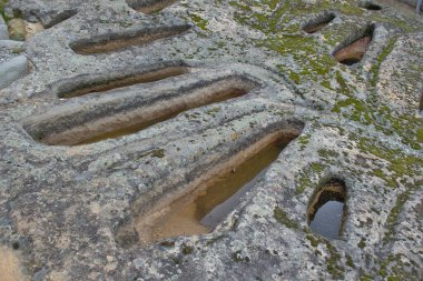 Kum taşından oyulmuş antropomorfik mezarlar. Ortaçağ 'dan kalma San Adrian kilisesinin etrafında. Regumiel de la Sierra, Burgos, İspanya.