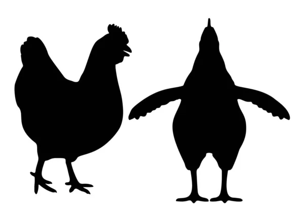Κοτόπουλο Στο Πλατό Εικόνα Διανύσματος — Διανυσματικό Αρχείο