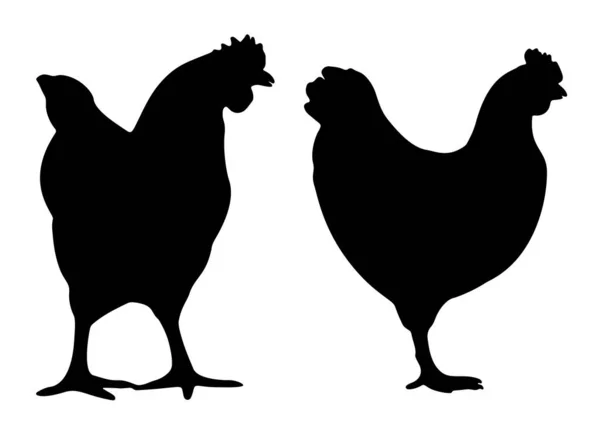 Κοτόπουλο Είναι Μεγάλο Στο Πλατό Εικόνα Διανύσματος — Διανυσματικό Αρχείο