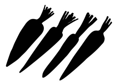 Bahçe havucu. Vektör resmi.