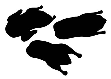Duck carcasses in a set. Vector image.