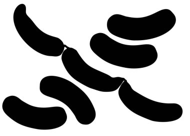 Sosisler bir sette. Vektör resmi.