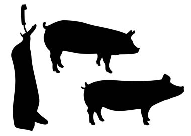 Domuz ve leş bir sette. Vektör resmi.