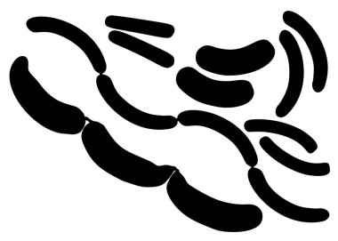 Bir sette büyük ve küçük sosisler. Vektör resmi.