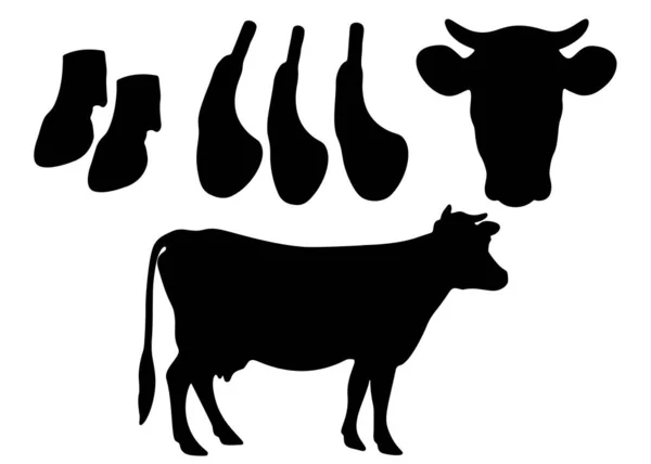 牛和牛肉排成一组 矢量图像 — 图库矢量图片