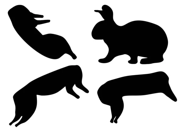 Kaninchen Und Kadaver Set Vektorbild — Stockvektor