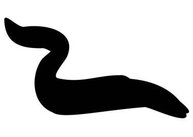 Büyük yılan balığı. Vektör resmi.