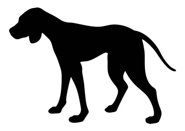 Grote Hond Vectorafbeelding — Stockvector