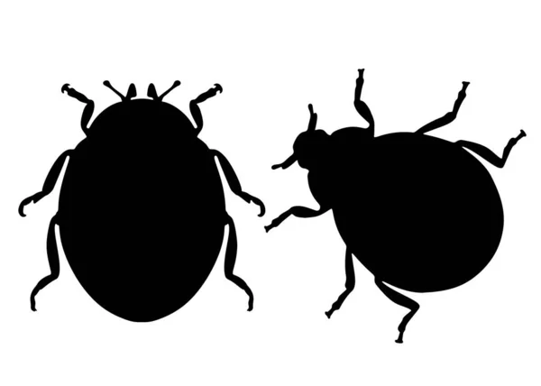 Stora Skalbaggar Setet Vektorbild — Stock vektor