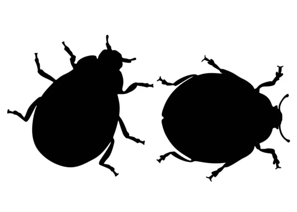 Kumbang Serangga Dalam Satu Set Citra Vektor - Stok Vektor