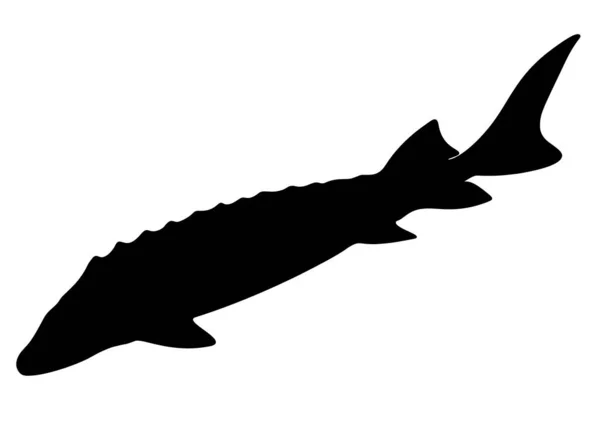 大きなチョウザメの魚 ベクトル画像 — ストックベクタ