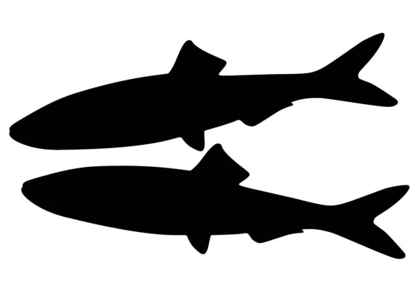 スプラット魚は小さい ベクトル画像 — ストックベクタ
