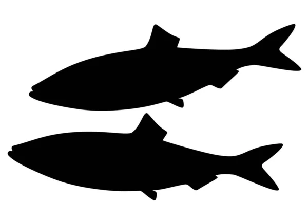 Stora Sillfiskar Vektorbild — Stock vektor