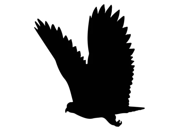 Large Flying Bird Vector Image — Stock Vector