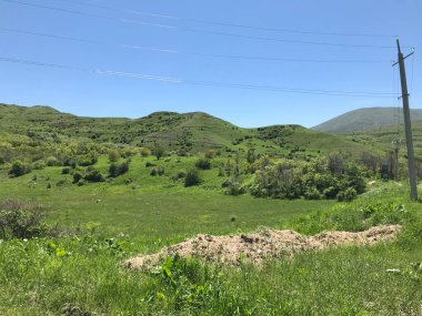 Cennet, dünya, şömineler, çimenler, manzara çiçekler yanıyor.