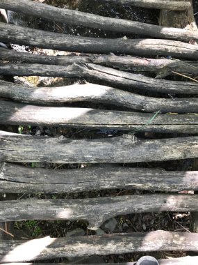 Cennet, dünya, şömineler, çimenler, manzara çiçekler yanıyor.