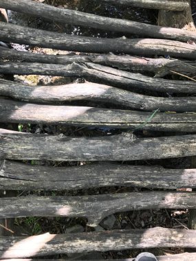 Cennet, dünya, şömineler, çimenler, manzara çiçekler yanıyor.