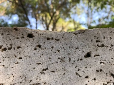 Cennet, dünya, şömineler, çimenler, manzara çiçekler yanıyor.